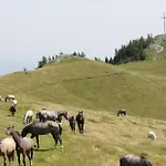 Ferienhaus Stubalpenblick *