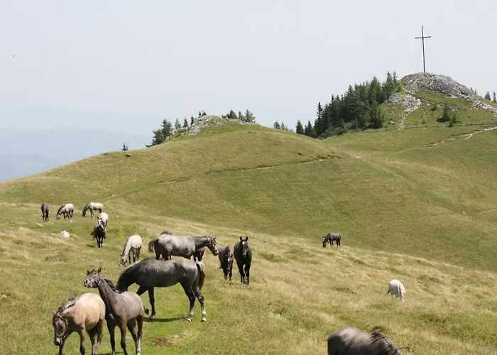 Ferienhaus Stubalpenblick *